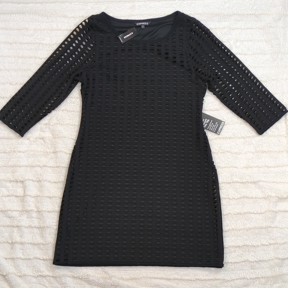 Express Cut Out "Fishnet" Dress - Picture 14 of 17
